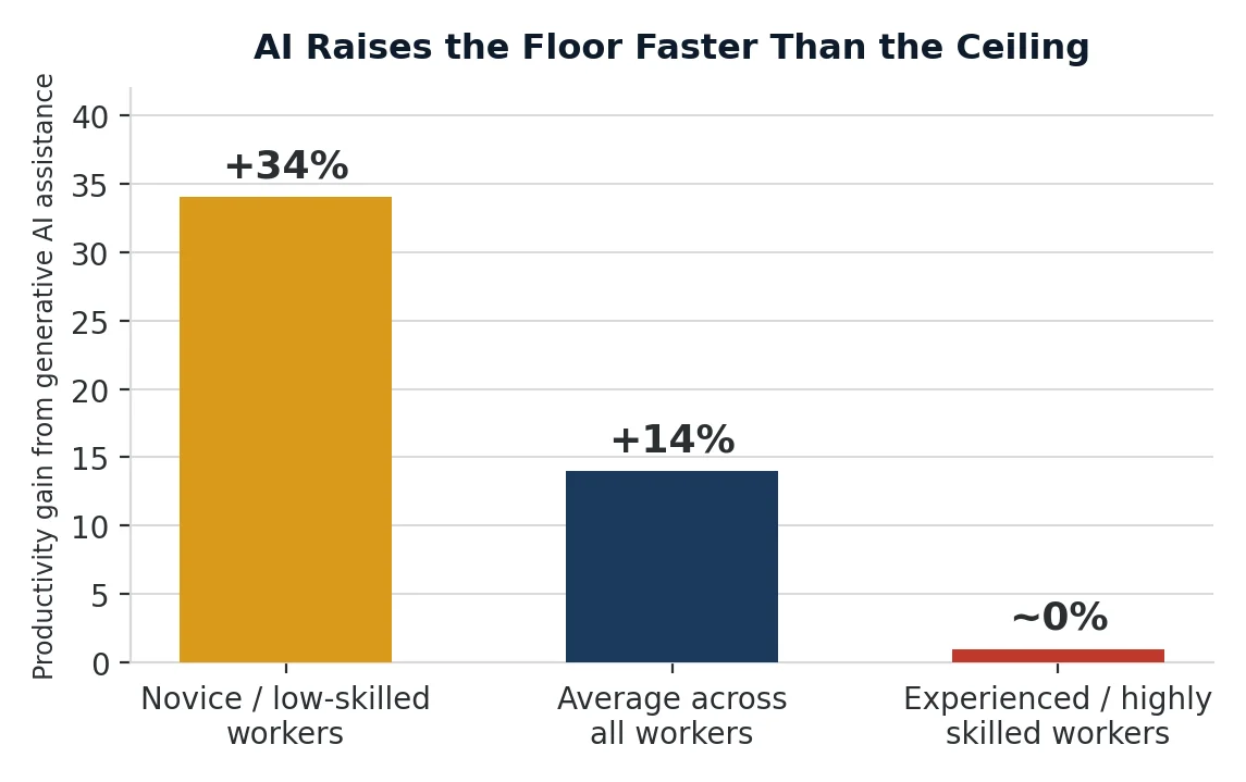 AI productivity gain by worker skill level: novice +34%, average +14%, experienced ~0%